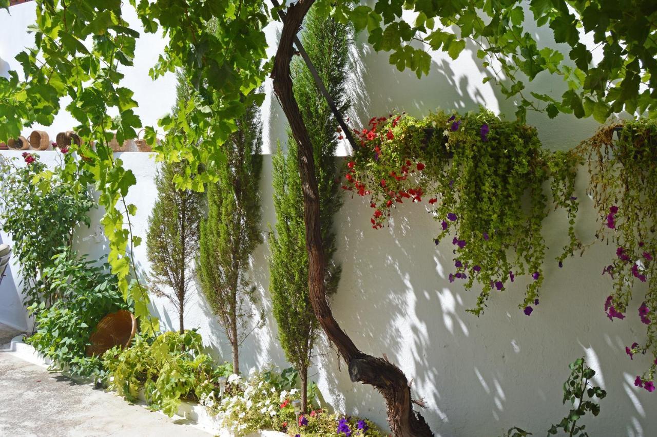 La Vieja Parra Guest House La Puerta de Segura Exterior photo